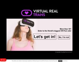 Virtual Real Trans